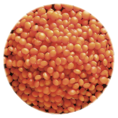 REİS Kırmızı Mercimek 2,5 Kg