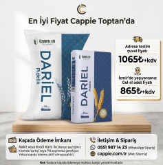 Özmen Dariel Pidelik Un 25 KG Toptan Satış