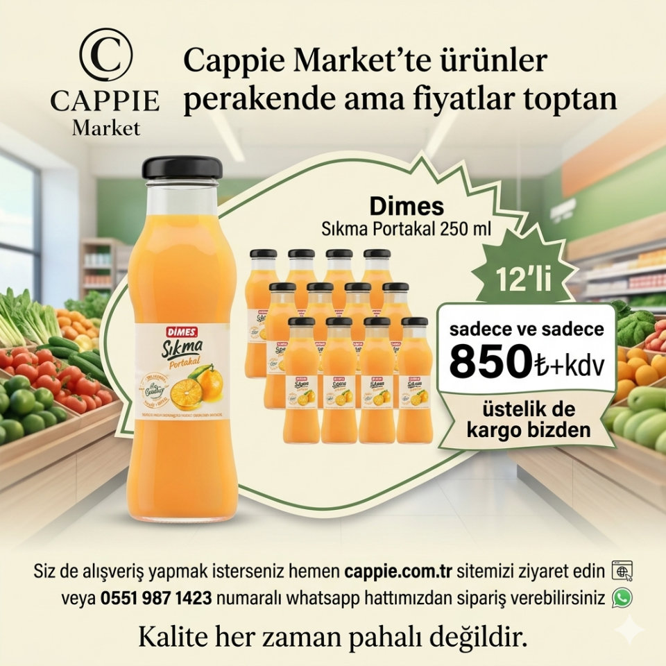 Dimes Sıkma Portakal 250 ml 12li