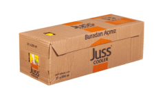 Juss Cooler 200 ml 27'li Koli Meyve Suyu Karışık Meyve - 10 Koli