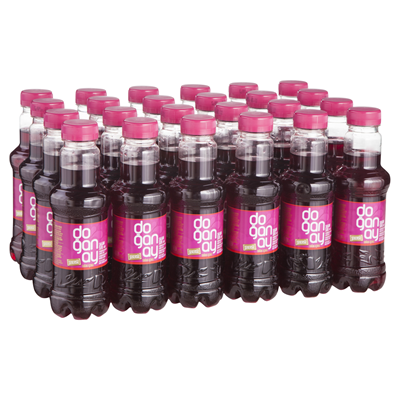 DOĞANAY Şalgam Suyu 24 X 300 ml Acısız - 10 Koli